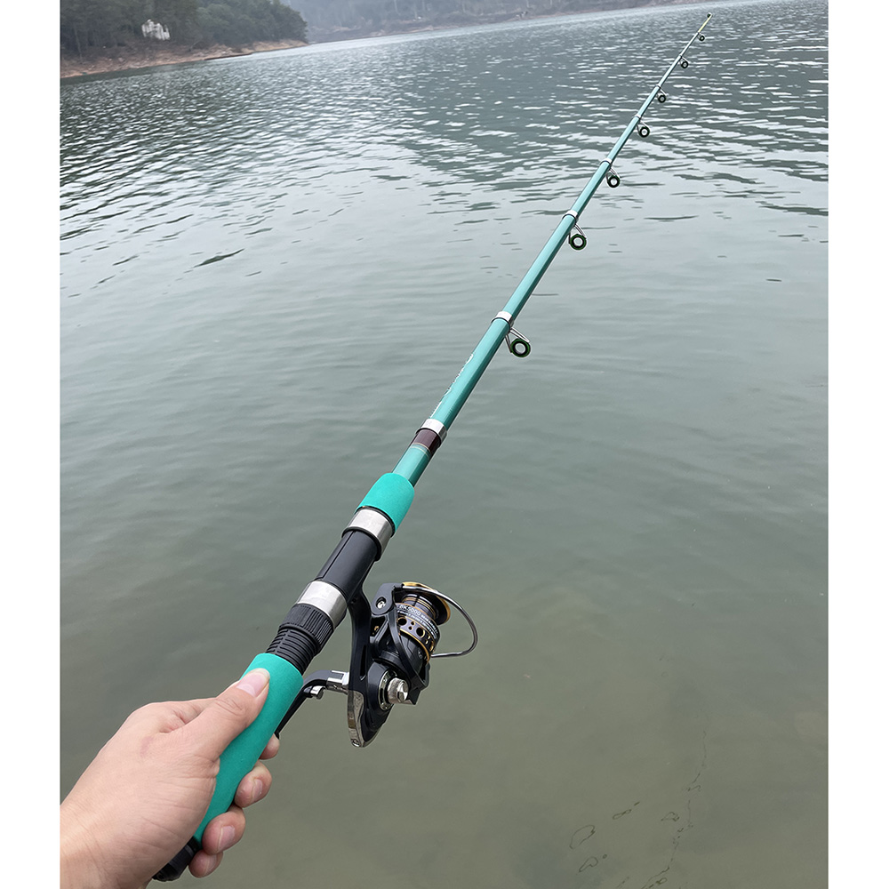 Bass Pike Karpfen Angelrute Co – Fishing Equipment Europe Bewertung und Preis